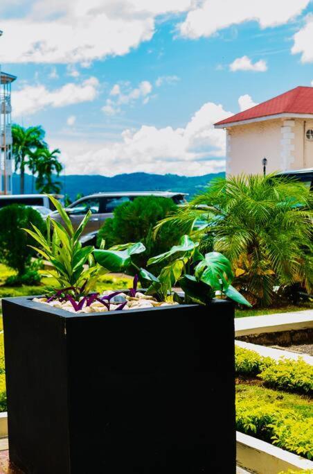 Falcon Islandview - Airport Pickup Available - 24Security Montego Bay Ngoại thất bức ảnh